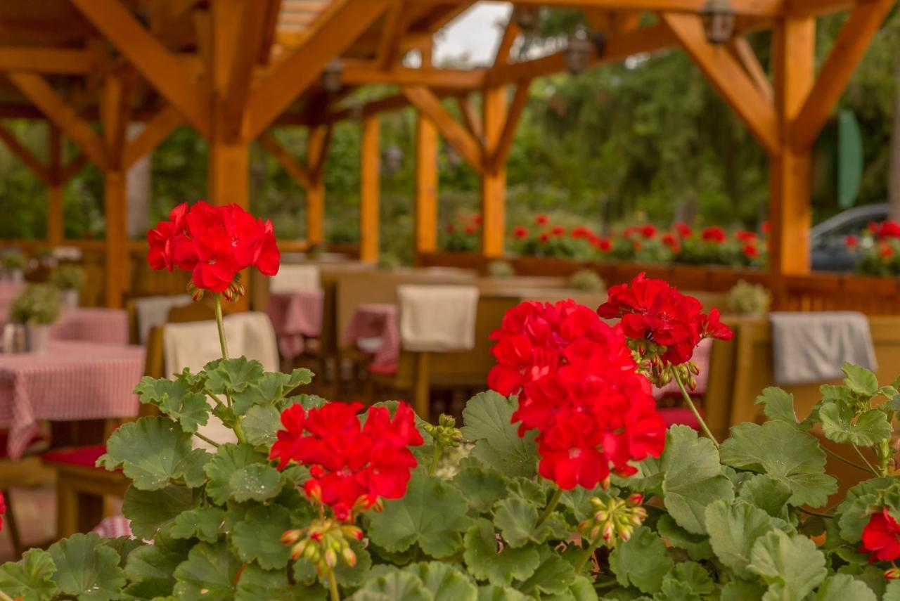 Lipicai Hotel Es Etterem Szilvásvárad Zewnętrze zdjęcie